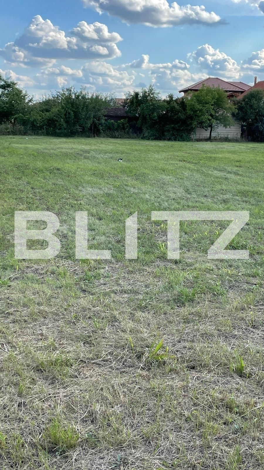 Teren de vânzare Exterior Nord - 76086TV | BLITZ Timișoara | Poza1