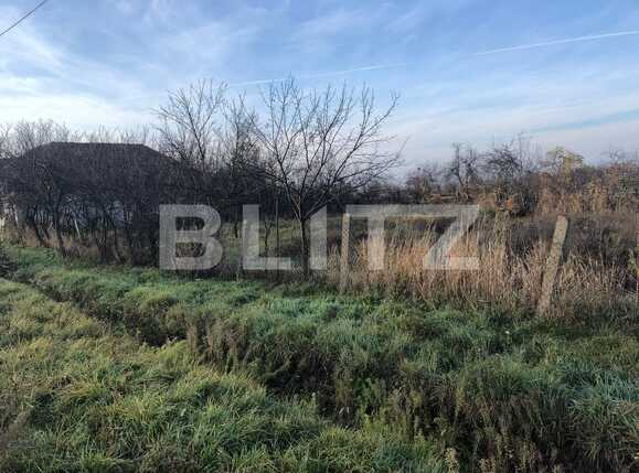 Teren de vânzare Sânandrei - 76116TV | BLITZ Timișoara | Poza1