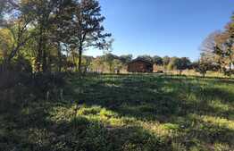 Ocazie rara, proprietate superba, 15.400 mp teren cu padure, cabana stil canadian si padure, langa Lugoj!