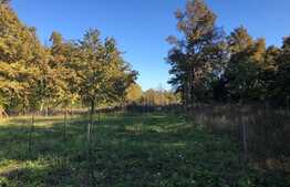 Ocazie rara, proprietate superba, 15.400 mp teren cu padure, cabana stil canadian si padure, langa Lugoj!