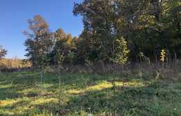 Ocazie rara, proprietate superba, 15.400 mp teren cu padure, cabana stil canadian si padure, langa Lugoj!