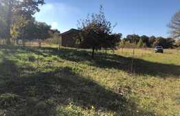 Ocazie rara, proprietate superba, 15.400 mp teren cu padure, cabana stil canadian si padure, langa Lugoj!