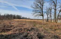 Ocazie rara, proprietate superba, 15.400 mp teren cu padure, cabana stil canadian si padure, langa Lugoj!