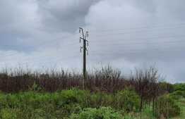 Ocazie rara, proprietate superba, 15.400 mp teren cu padure, cabana stil canadian si padure, langa Lugoj!