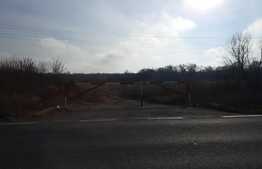 Ocazie rara, proprietate superba, 15.400 mp teren cu padure, cabana stil canadian si padure, langa Lugoj!