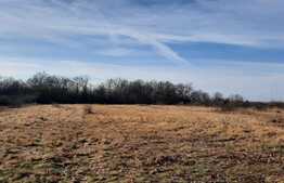 Ocazie rara, proprietate superba, 15.400 mp teren cu padure, cabana stil canadian si padure, langa Lugoj!