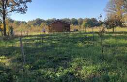 Ocazie rara, proprietate superba, 15.400 mp teren cu padure, cabana stil canadian si padure, langa Lugoj!