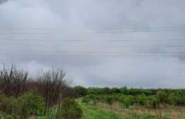 Ocazie rara, proprietate superba, 15.400 mp teren cu padure, cabana stil canadian si padure, langa Lugoj!