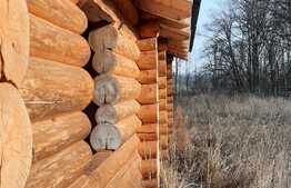 Ocazie rara, proprietate superba, 15.400 mp teren cu padure, cabana stil canadian si padure, langa Lugoj!