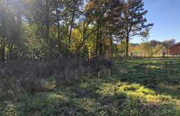 Ocazie rara, proprietate superba, 15.400 mp teren cu padure, cabana stil canadian si padure, langa Lugoj!