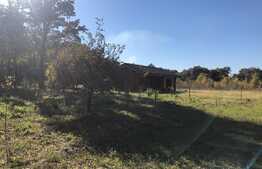 Ocazie rara, proprietate superba, 15.400 mp teren cu padure, cabana stil canadian si padure, langa Lugoj!