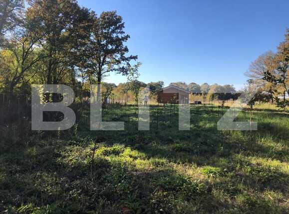 Teren de vânzare Exterior Sud - 76162TV | BLITZ Timișoara | Poza2