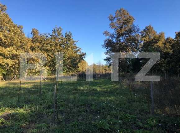 Teren de vânzare Exterior Sud - 76162TV | BLITZ Timișoara | Poza7