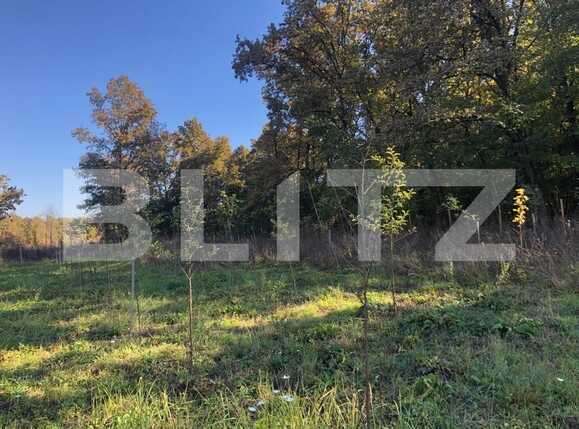 Teren de vânzare Exterior Sud - 76162TV | BLITZ Timișoara | Poza6