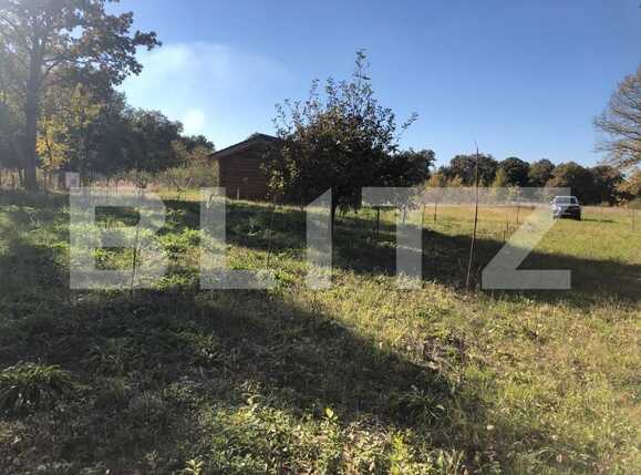 Teren de vânzare Exterior Sud - 76162TV | BLITZ Timișoara | Poza1