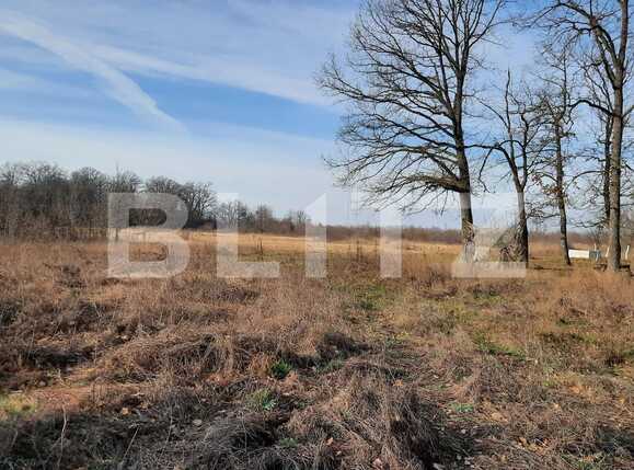 Teren de vânzare Exterior Sud - 76162TV | BLITZ Timișoara | Poza12