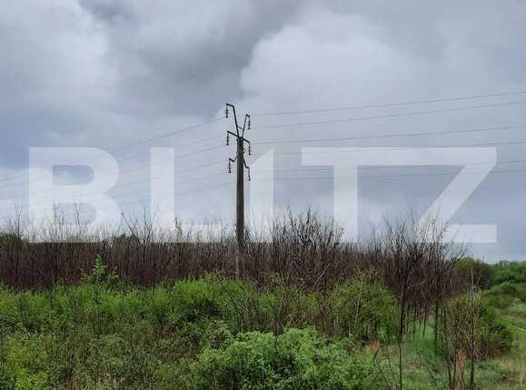 Teren de vânzare Exterior Sud - 76162TV | BLITZ Timișoara | Poza19