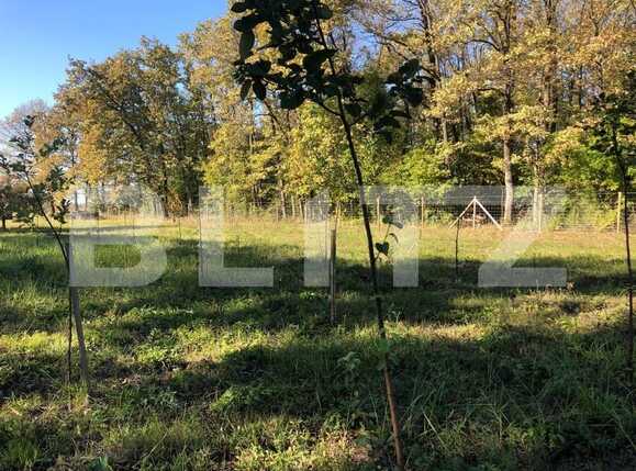 Teren de vânzare Exterior Sud - 76162TV | BLITZ Timișoara | Poza5