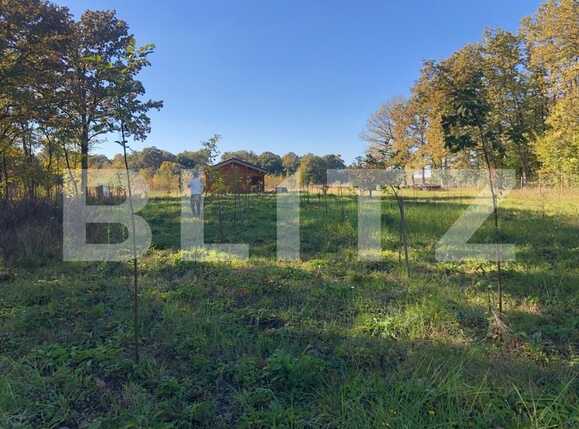 Teren de vânzare Exterior Sud - 76162TV | BLITZ Timișoara | Poza8