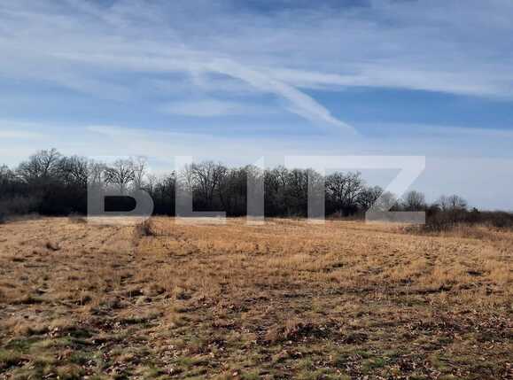 Teren de vânzare Exterior Sud - 76162TV | BLITZ Timișoara | Poza17