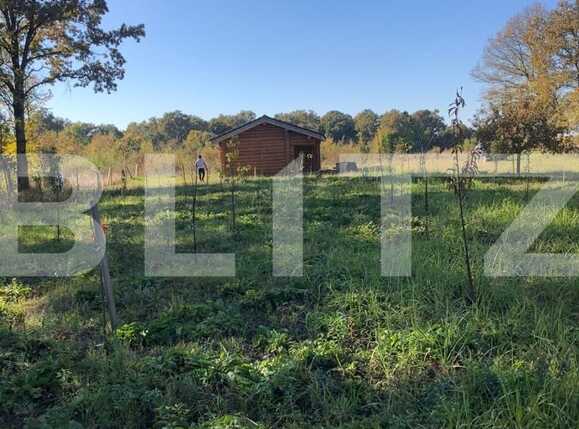 Teren de vânzare Exterior Sud - 76162TV | BLITZ Timișoara | Poza4