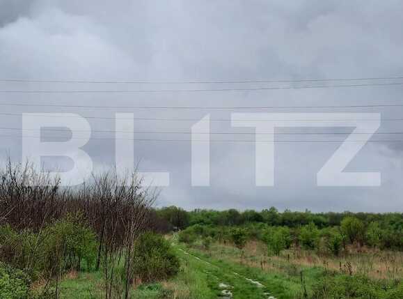 Teren de vânzare Exterior Sud - 76162TV | BLITZ Timișoara | Poza18