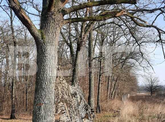 Teren de vânzare Exterior Sud - 76162TV | BLITZ Timișoara | Poza16