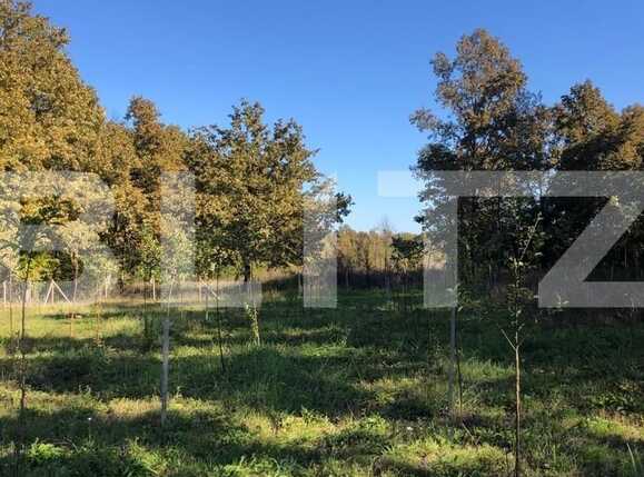 Teren de vânzare Exterior Sud - 76162TV | BLITZ Timișoara | Poza10