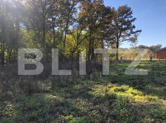 Teren de vânzare Exterior Sud - 76162TV | BLITZ Timișoara | Poza9