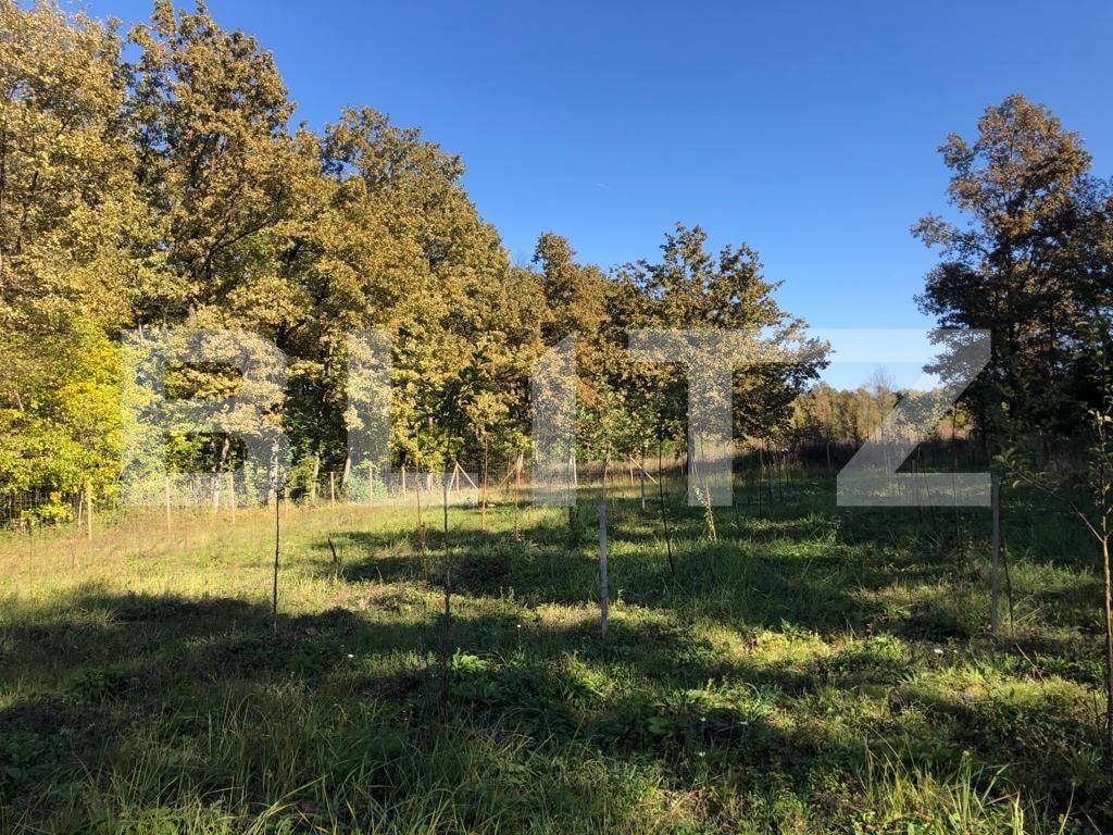 Teren de vânzare Exterior Sud - 76162TV | BLITZ Timișoara | Poza11