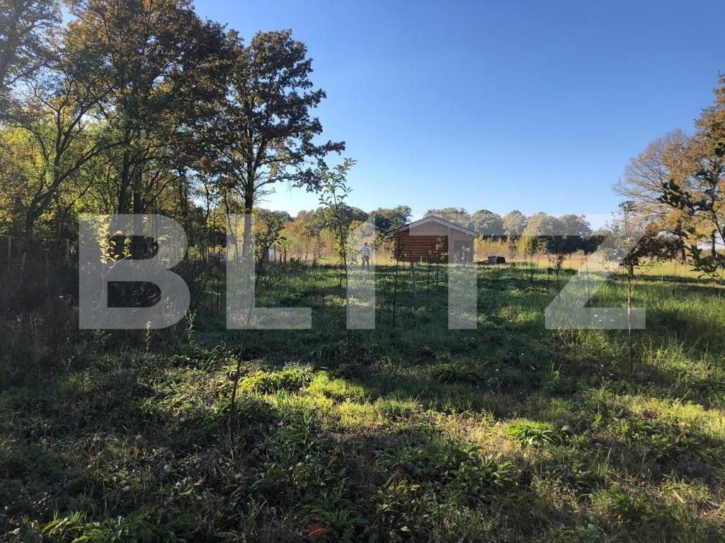 Teren de vânzare Exterior Sud - 76162TV | BLITZ Timișoara | Poza2