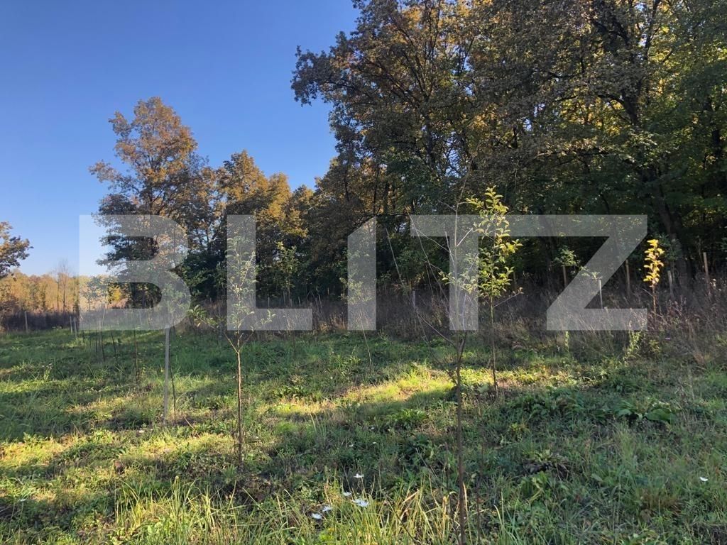 Teren de vânzare Exterior Sud - 76162TV | BLITZ Timișoara | Poza6