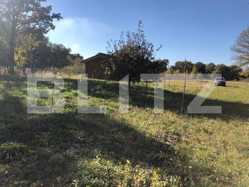 Teren de vânzare Exterior Sud - 76162TV | BLITZ Timișoara | Poza1