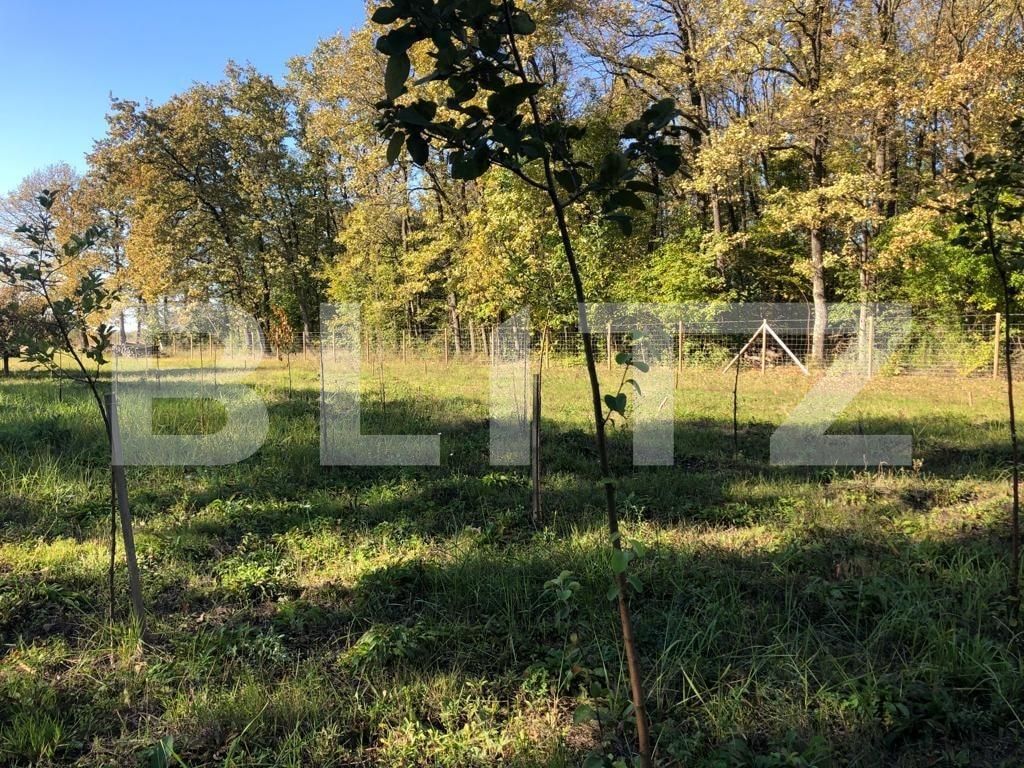 Teren de vânzare Exterior Sud - 76162TV | BLITZ Timișoara | Poza5