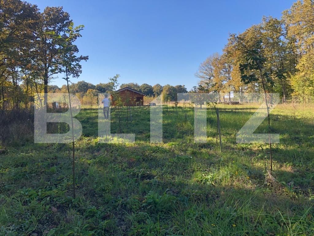 Teren de vânzare Exterior Sud - 76162TV | BLITZ Timișoara | Poza8