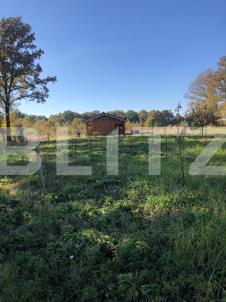 Teren de vânzare Exterior Sud - 76162TV | BLITZ Timișoara | Poza4