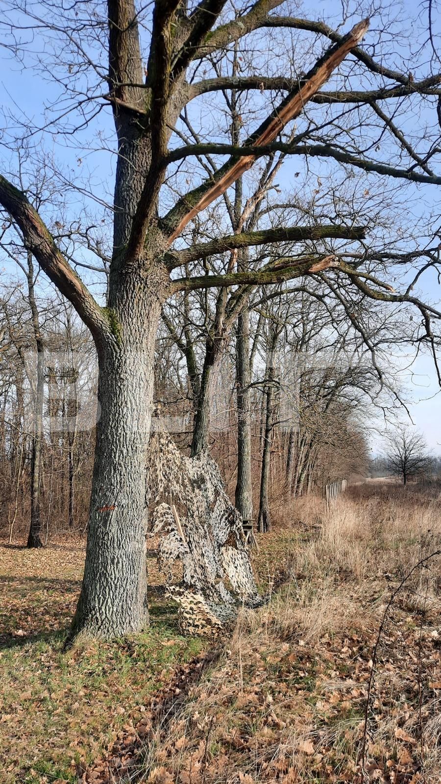 Teren de vânzare Exterior Sud - 76162TV | BLITZ Timișoara | Poza16