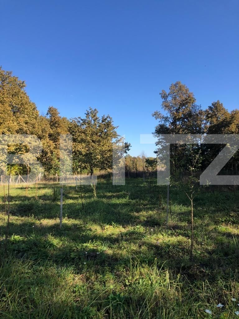 Teren de vânzare Exterior Sud - 76162TV | BLITZ Timișoara | Poza10