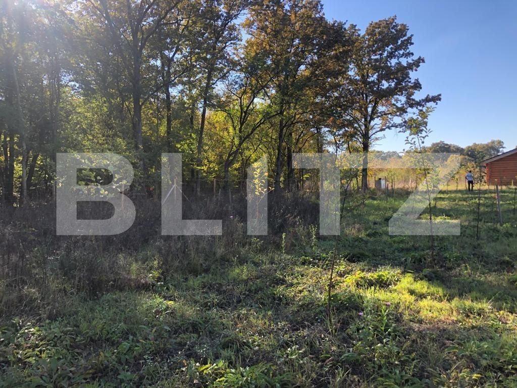 Teren de vânzare Exterior Sud - 76162TV | BLITZ Timișoara | Poza9