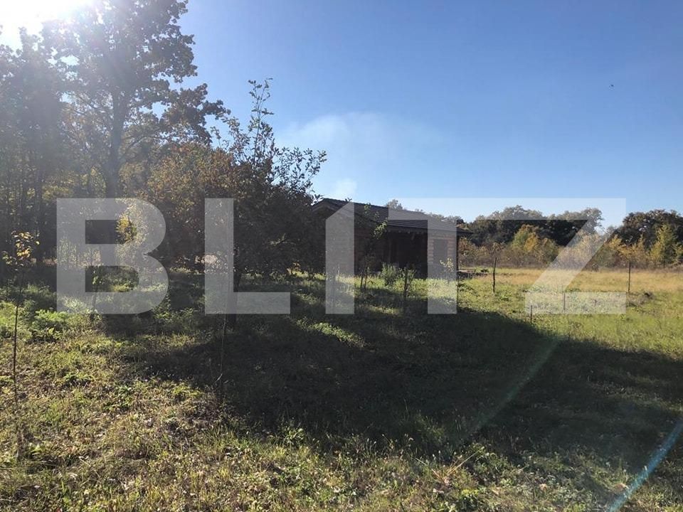 Teren de vânzare Exterior Sud - 76162TV | BLITZ Timișoara | Poza3