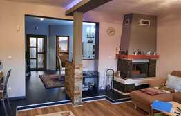 Vila spatioasa utilata si mobilata, foarte frumoasa, cu 330 mp teren in Lugoj!