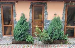 Vila spatioasa utilata si mobilata, foarte frumoasa, cu 330 mp teren in Lugoj!