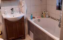 Vila spatioasa utilata si mobilata, foarte frumoasa, cu 330 mp teren in Lugoj!