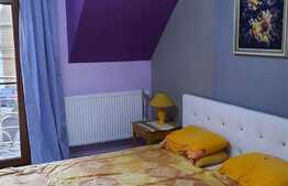 Vila spatioasa utilata si mobilata, foarte frumoasa, cu 330 mp teren in Lugoj!