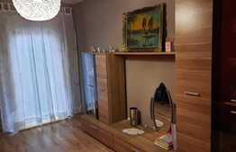 Vila spatioasa utilata si mobilata, foarte frumoasa, cu 330 mp teren in Lugoj!