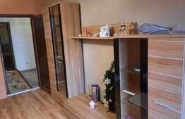 Vila spatioasa utilata si mobilata, foarte frumoasa, cu 330 mp teren in Lugoj!