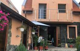 Vila spatioasa utilata si mobilata, foarte frumoasa, cu 330 mp teren in Lugoj!