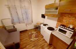 Garsoniera de vanzare, mobilata si utilata, zona Calea Aradului