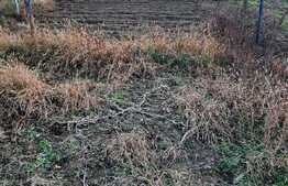 Ocazie! Casa individuala de vanzare, teren mare, in Mosnita Noua! 