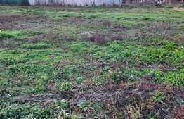 Ocazie! Casa individuala de vanzare, teren mare, in Mosnita Noua! 